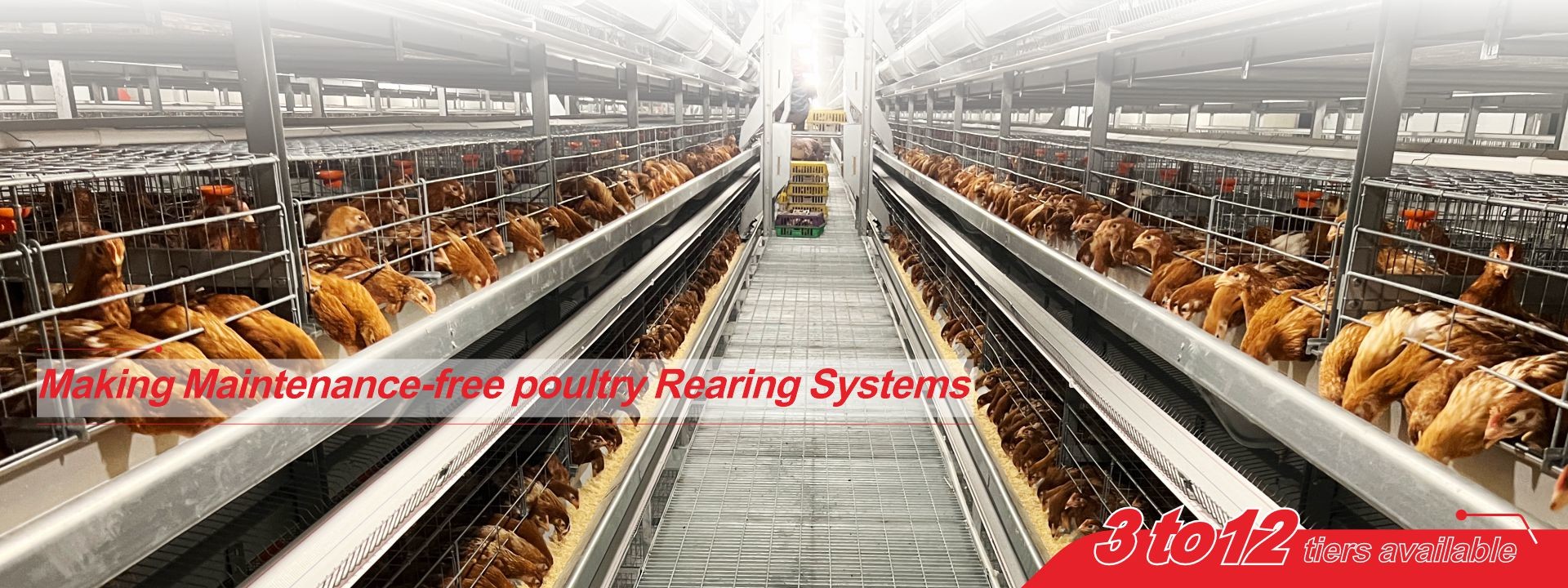 کیفیت سیستم قفس باتری طیور کارخانه