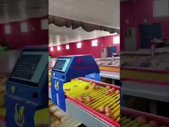 Farmrob 99.8٪ دقت شمارنده تخم مرغ هوشمند 25W 220V 50HZ ISO9001 تایید شده