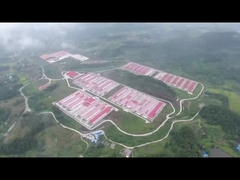 سیستم قفس باتری طیور