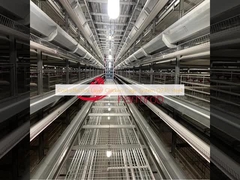 سیستم قفس مرغ لایه ای مقرون به صرفه استیل Q235