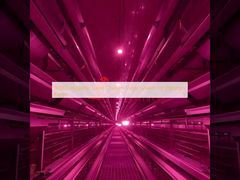 80000 سیستم قفس مرغ لایه بهداشتی برای مزارع پاکستان