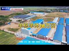 مزرعه‌ی ۱۲ طبقه‌ای با ۶ ردیف