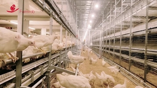 سیستم رفاهی Farmrob