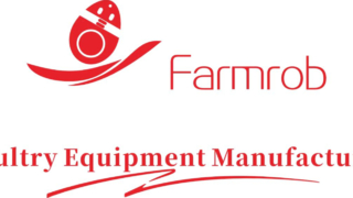 پروژه 1 میلیون لایه Farmrob-Shandong